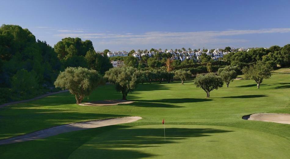 Orihuela Costa Torrevieja Dehesa de Campoamor (Orihuela Costa) Exterior foto